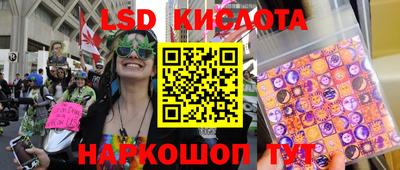 спиды Бийск