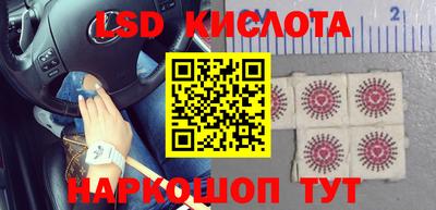 прущие грибы Беслан
