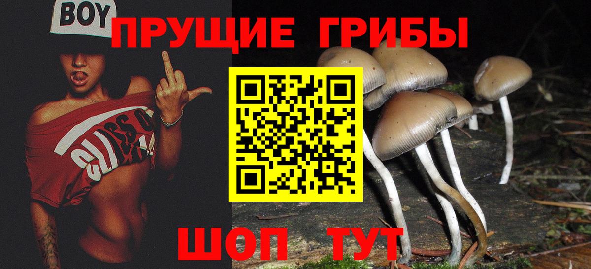 Галлюциногенные грибы прущие грибы Будённовск