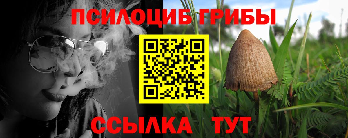 Псилоцибиновые грибы мицелий  Вход с VPN  где купить   Будённовск  Галлюциногенные грибы Cubensis 