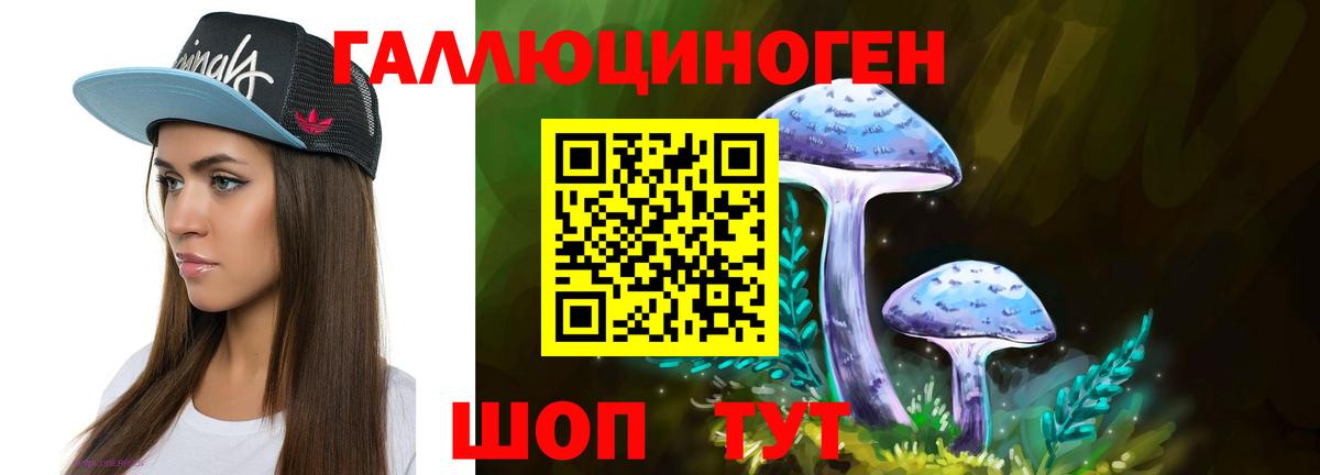 Галлюциногенные грибы мухоморы Будённовск