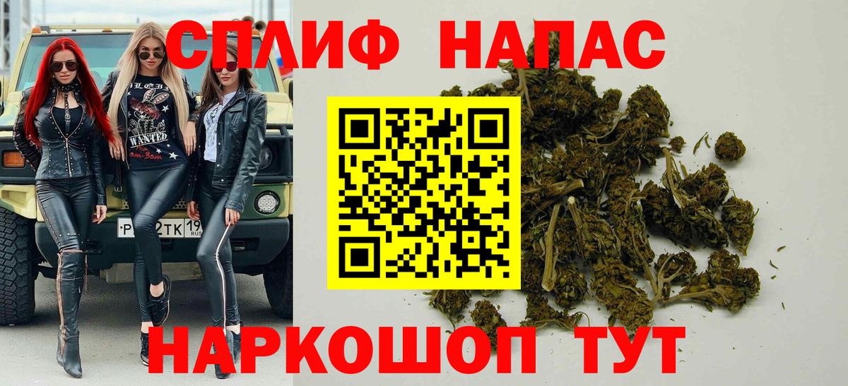 МАРИХУАНА ГИДРОПОН Будённовск